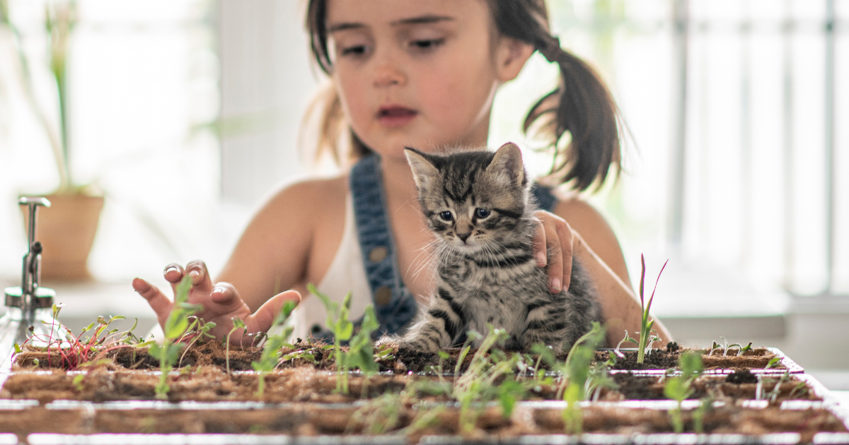 Best Indoor Gardening Systems and Kits from Germany