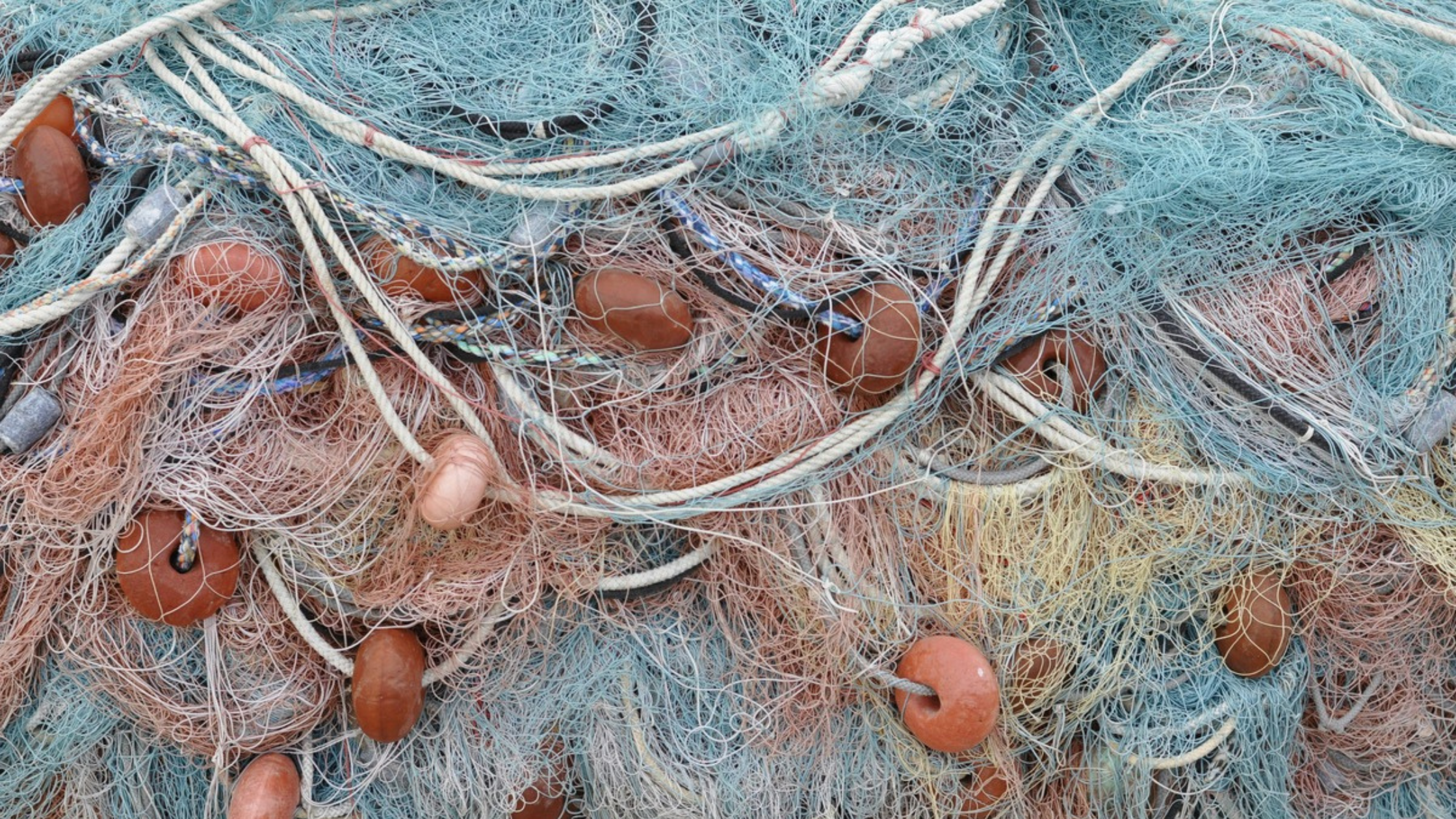 Fishing nets, picture by Kristin Snippe