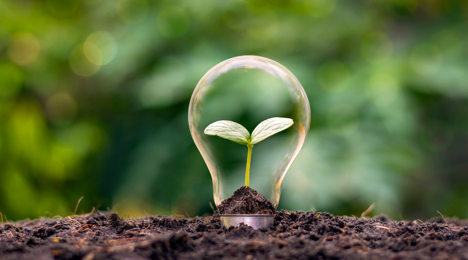 12 Simple Tips For A Sustainable Lifestyle