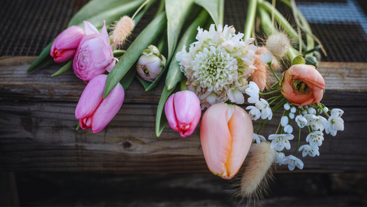 The Hidden Costs of the Cut Flowers Industry