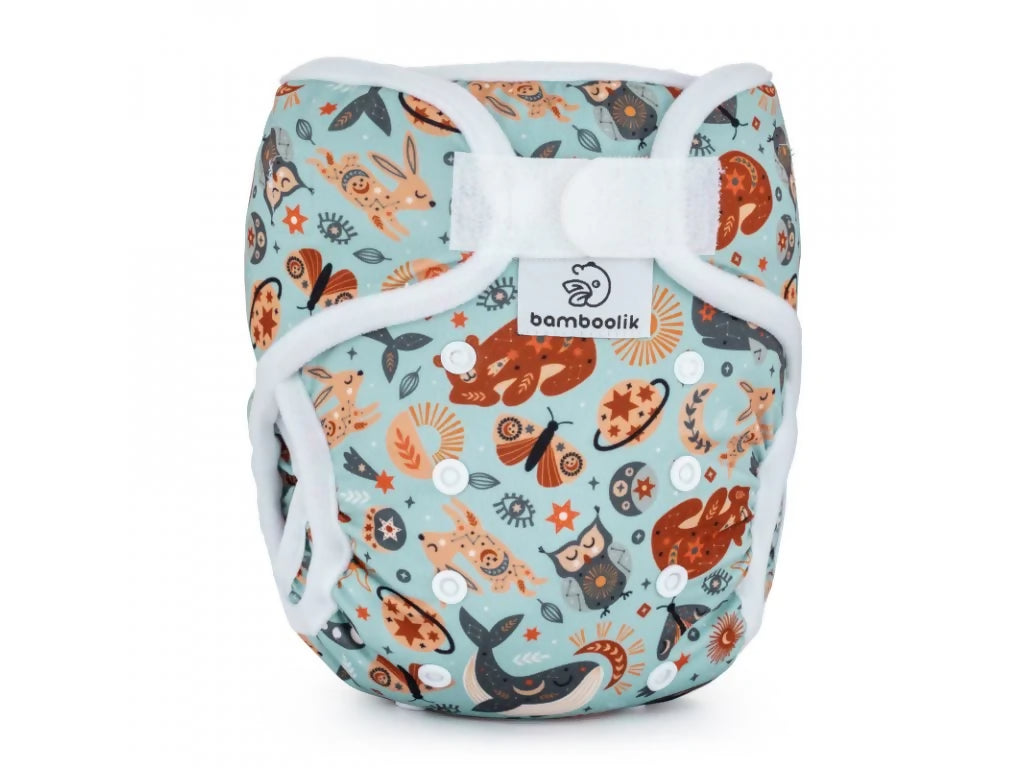 242-11_92221-92222-img-1